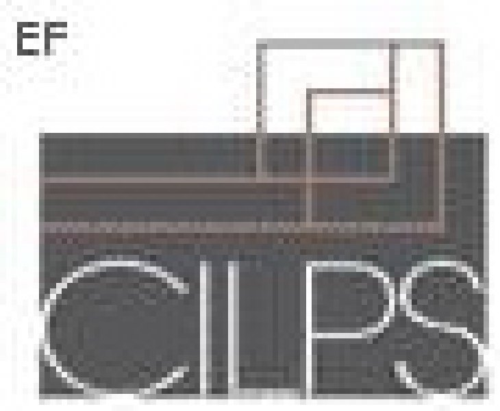 CILPS中国国际高端物业展