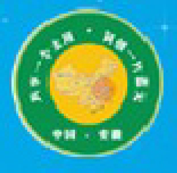 2010中国(合肥)国际太阳能利用产业展览会暨高峰论坛