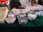 2010第七届中国国际北京冶金工业展览会10/11/8发布