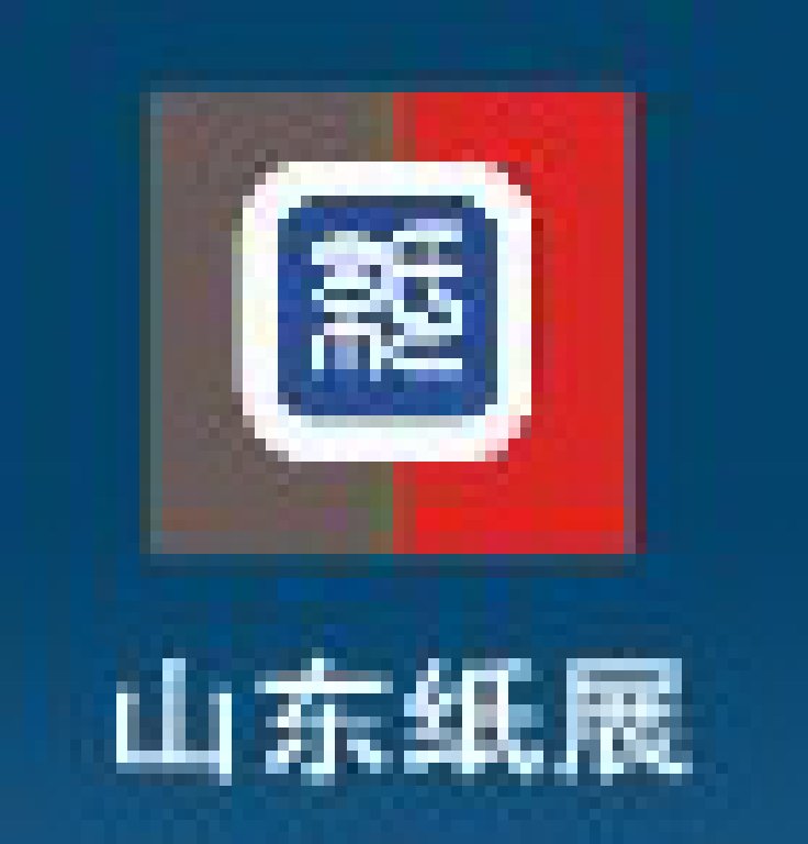 2012山东(国际)制浆造纸技术及装备展览会