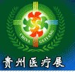 2012第十三届中国(贵阳)医疗器械、设备与技术展览会