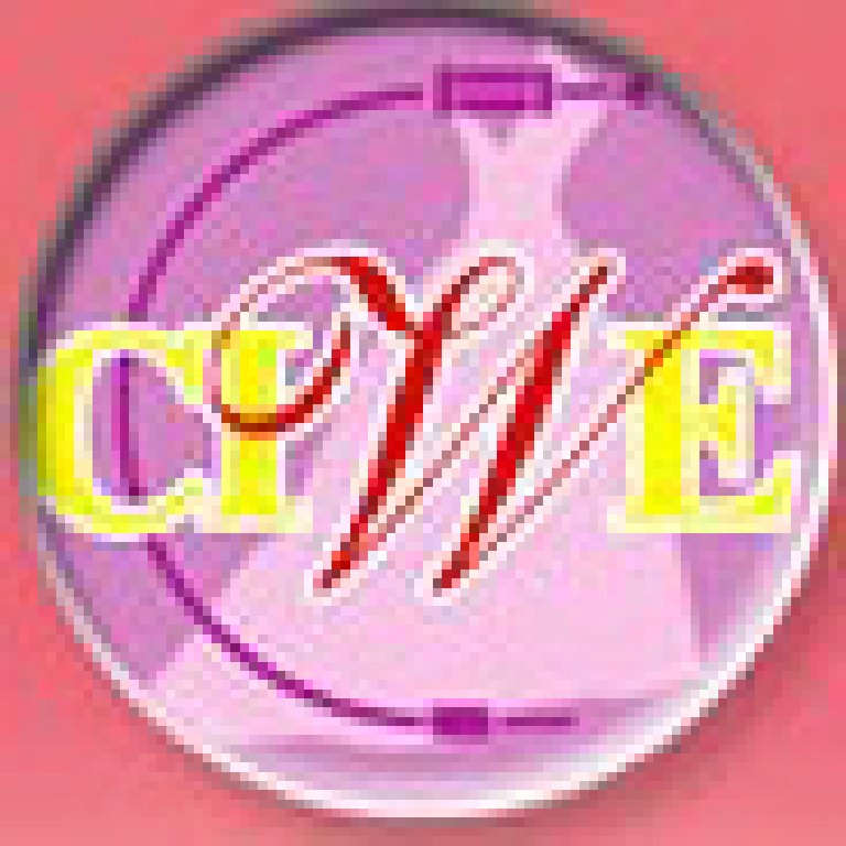 2011第二十届中国上海国际婚纱摄影器材展览会<br>暨国际儿童摄影、主题摄影展览会