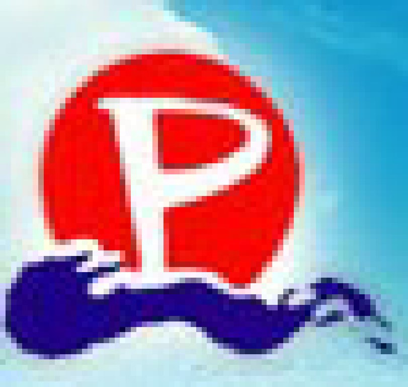 2011第19届太平洋(哈尔滨)全国药交会