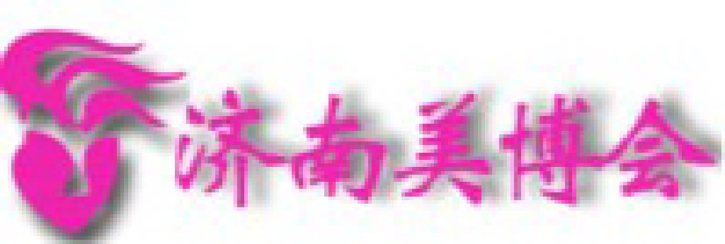 2011第33届中国(济南)国际美容美发化妆用品博览会