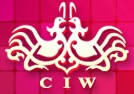 2013春季中国(上海)国际婚博会