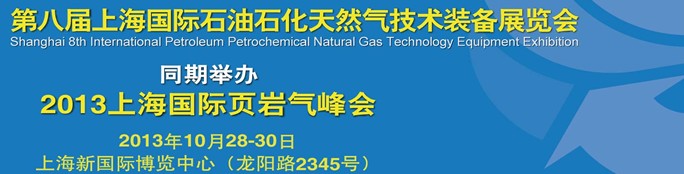 SIPPE2013第八届上海国际石油石化天然气技术装备展览会