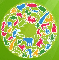 2013首届中国(上海)养殖博览会