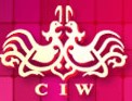 2013夏季中国(上海)国际婚博会