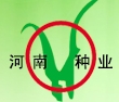 2013河南省夏季种子信息交流暨产品展览会