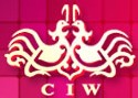 2013秋季中国(上海)国际婚博会