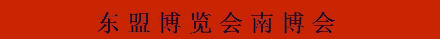 2013第十届中国—东盟博览会-轻工展