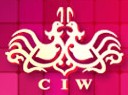 2013冬季中国(上海)国际婚博会