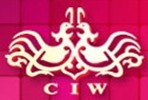 2014春季中国(上海)国际婚博会