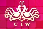 2016春季中国(上海)国际婚博会
