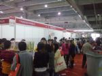 2010第十二届京正广州孕婴童用品展览会