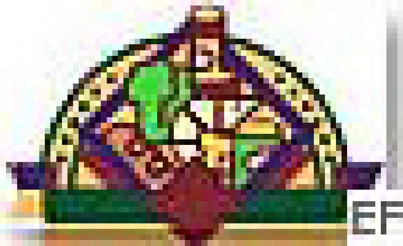 2008美食博览