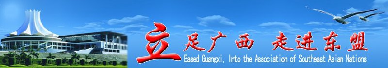 2010第四届中国广西电动车及零部件展览交易会