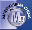 2013上海国际工业材料展览会-镁