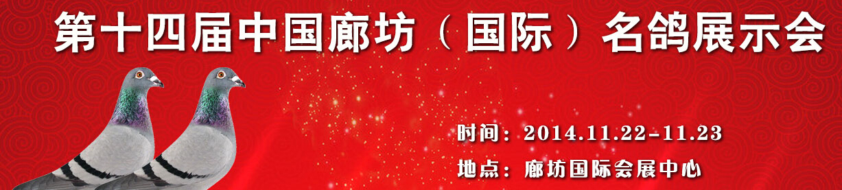 2014第十四届中国廊坊(国际)名鸽展示会