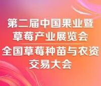 2025第二届中国合肥果业暨草莓产业展览会<br>全国草莓种苗与农资交易大会